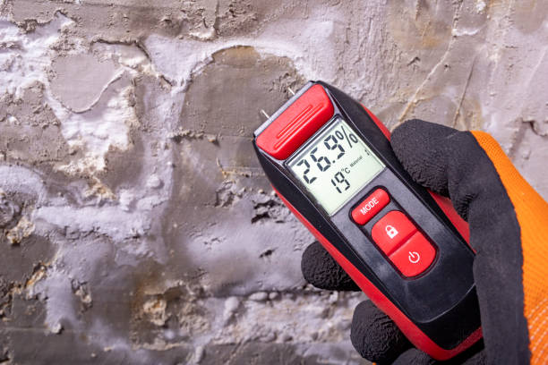 Best Forensic Mold Investigation  in Licking, MO